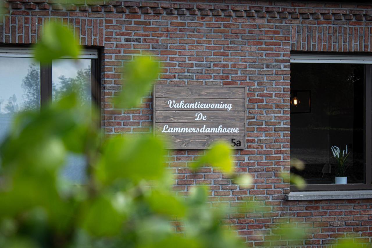 De Lammersdamhoeve Wingene Экстерьер фото